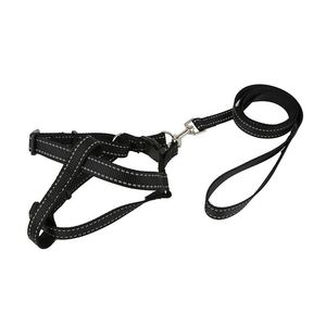 Produk baru tali harnes anjing peliharaan Premium desain OEM - Product Image 4