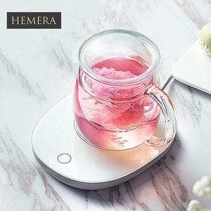 Cốc Trà Thủy Tinh Borosilicate Chịu Nhiệt Với Bộ Lọc Tay Cầm Infuser - Product Image 3