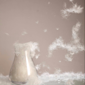 Trung Quốc Thực Hiện USA Starand Máy Có Thể Giặt Feather Bán Buôn Điện 70% Rửa Ngỗng Trắng Tự Nhiên Xuống - Product Image 2