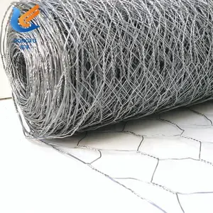 1/2' Hot DIP Galvanized Hexagonal Wire Mesh Poultry Netting Chicken Wire  Mesh - China 0.55mm Hot DIP Galvanized Hexagonal Wire Mesh, Galvanized  Hexagonal Wire Netting