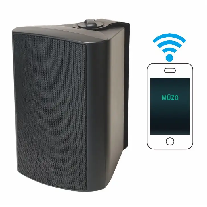 Speaker WIFI Aktif Dinding 20W Hingga 60W, Amplifier Daya Tanam dan Pemutar Gigi Biru WIFI Nirkabel