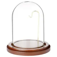 סיטונאי תצוגת בציר מיני קטן שעון זכוכית כיפת תצוגת עם וו עץ בסיס