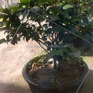 Телескоп зеркало заготовки стекло боросиликатное стекло 3,3 - Product Image 5