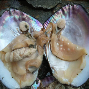 Mercado de Perlas Zhuji Perlas cultivadas de agua dulce Blanco Rosa. Perlas de colores naturales de color púrpura al por mayor - Product Image 5