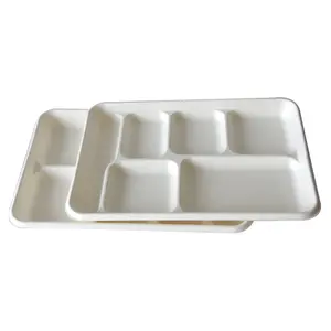 Biodegraded 일회용 사탕 수수 Bagasse 6 구획 트레이, 중국 도매 식품 안전 서빙 트레이