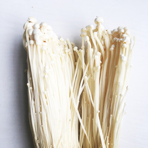 Compradores para detan fresco setas Enoki - Product Image 3
