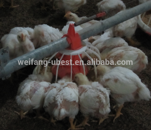Aves de <span class=keywords><strong>corral</strong></span> automática alimentación <span class=keywords><strong>pan</strong></span> del sistema para broilers y breeders - Product Image 3
