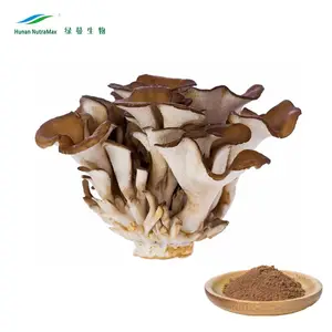 Organic Maitake Mushroom Extract Powder (Grifolan frondosa Extract) Polysaccharide 10%~40%