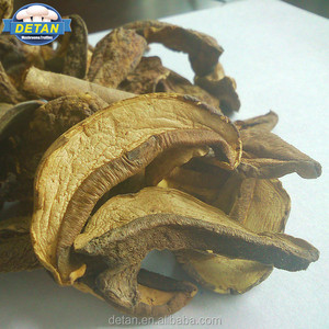 Detan salvaje <span class=keywords><strong>Boletus</strong></span> <span class=keywords><strong>Edulis</strong></span> <span class=keywords><strong>precio</strong></span> - Product Image 1