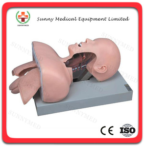 SY-N034 serie recién nacido intubación maniquí modelo de formación de intubación. - Product Image 6