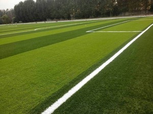 Hạt cao su cho sân vận động bóng đá bóng đá và sử dụng vườn cho cỏ nhân tạo - Product Image 4