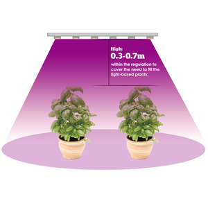 Rojo azul 5:1 llevó la luz de la planta 3pcs 1 64ft/tira de <span class=keywords><strong>LED</strong></span> Luz de tira Flexible de luz de tira con EE. UU. Adaptador de corriente - Product Image 2