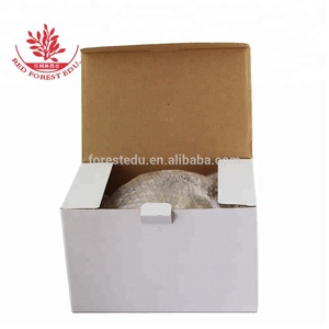 Modelo Anatómico de Articulación de Cadera de Perro Veterinario para la Enseñanza de la Anatomía del <span class=keywords><strong>Esqueleto</strong></span> Lumbar Animal - Product Image 5