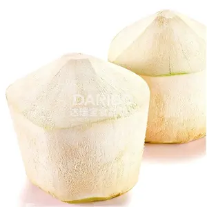 DARIBO Pneumatic Green Coconut Skin Peeling Machine,Melon/Papaya Peeler with High Quality