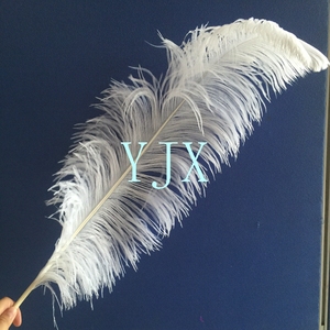 Plume d'autruche blanche, 65 à 70cm, 1 pièce, vente en gros - Product Image 2