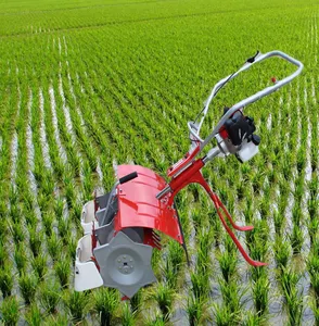 小稻田 weeder 农业设备 2 排耕作机出售