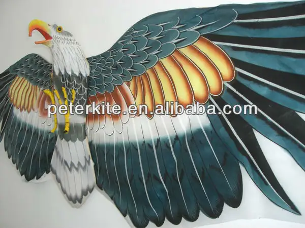 China águia kite