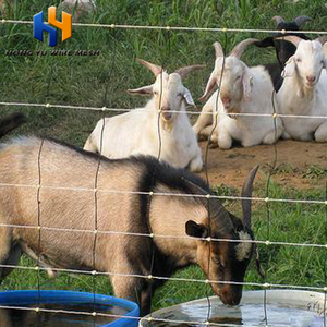 Multifunctioneel Varkenspaneel Schapen Gaashek - Product Image 3