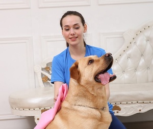 Serviette de bain pour animaux de compagnie, multifonction, deux tailles, sèche-cheveux pour chiens, Super absorbante, serviette douce en PVA, livraison gratuite - Product Image 6