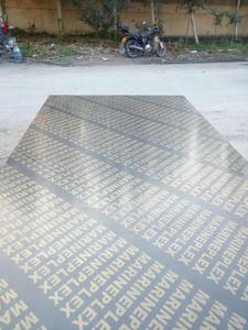 แผ่นไม้อัดไม้อัดลายทะเล18มม. แผ่นฟิล์มฟีนอลิกเกาหลี - Product Image 5