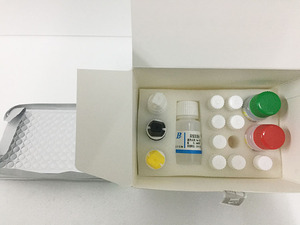 <span class=keywords><strong>AFP</strong></span> Nhanh Chóng Chẩn Đoán ELISA <span class=keywords><strong>Kit</strong></span> Kiểm Tra cho Alpha-feto-protein - Product Image 4