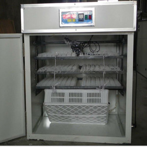 Trứng Gà Trứng Hatch Máy 264 Lồng Ấp Trứng Được Thực Hiện Tại Trung Quốc - Product Image 6