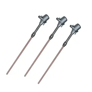 Thermocouple S Type Rhodium Platinum 10- Platinum 1600C Type S Thermocouple S Type