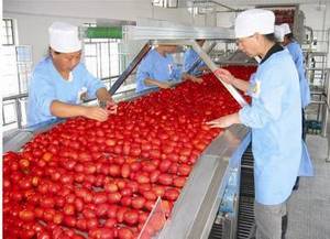 Ligne de production de la confiture de fruits, pour les pommes et les tomates, traitement de la pâte, m - Product Image 3
