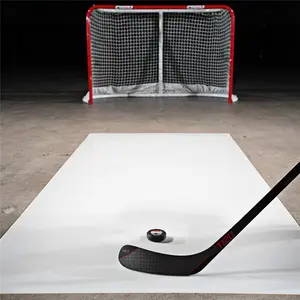 ice rink /roller skating /hockey shooting board