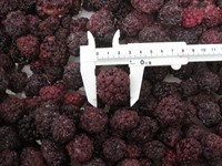Sinocharm Brc Een Goedgekeurd Bevroren Fruit Iqf Blackberry Met 80% Zwarte Kleur En 20% Dark Red