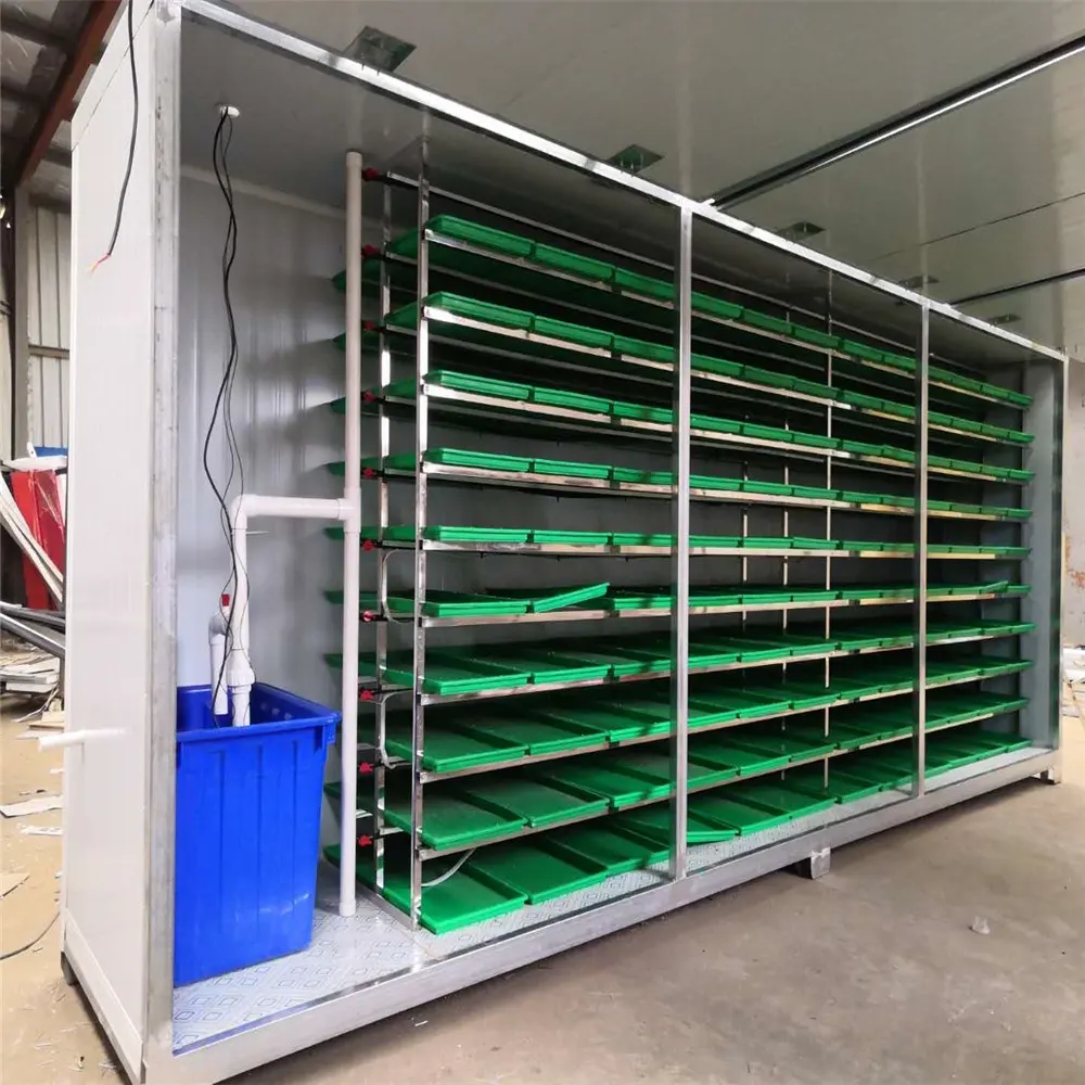 Máquina de cultivo de sprout de 250kg/dia, equipamento de cultivo/máquina automática de brocas