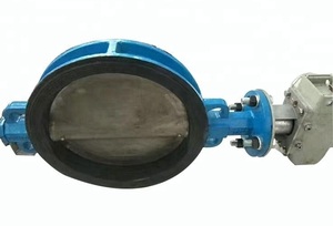 سعر المصنع CTB DN65 DN150 <span class=keywords><strong>DN500</strong></span> الحديد بمحركات صمام فراشة مع 24v 220v المحرك الكهربائي - Product Image 5