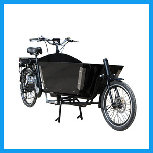 Holland 250 W Ebike Pedal assisted two wheels Load - Product Image 2