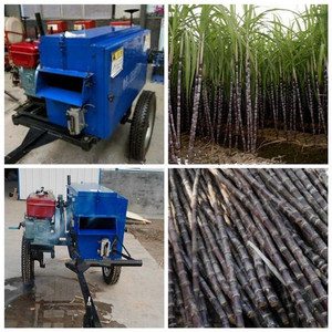 Prezzo di fabbrica foglia di canna da zucchero rimozione macchina da taglio foglie di canna da zucchero Stripper - Product Image 6