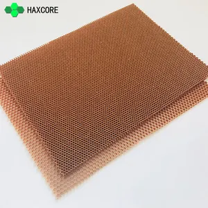 Peso leve Alta Resistência Aramid Fiber Paper Honeycomb Core