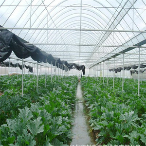 Chine Usine de structure <span class=keywords><strong>en</strong></span> <span class=keywords><strong>acier</strong></span> Breezier d'économie d'énergie et conception de tissu <span class=keywords><strong>en</strong></span> <span class=keywords><strong>acier</strong></span> de zone d'éclairage du toit de centre commercial de cadre d'espace de serre - Product Image 2