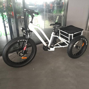Xe Kéo Chở Hàng Gia Đình Chạy Bằng Pin Trước, Xe Điện 3 Bánh Trôi Dạt Kèm Theo Cho Trẻ Em 48V 500W 750W - Product Image 6