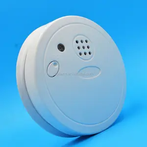 Stand alone smoke electronic optical detector