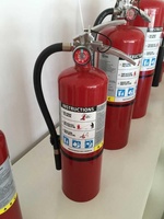 Extrudeuse de feu personnalisé, chargée avec de la poudre, 10lb