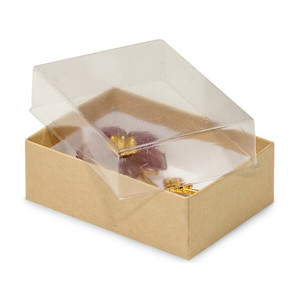 Packaging square <strong>Gift</strong> <strong>Box</strong> with <strong>clear</strong> <strong>Lid</strong> - Product Image 5