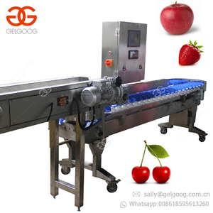 Fruit Kalibratie Machine Groente-en Sorteren Machine - Product Image 4
