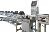 Fabrikant Automatische Gewicht Sorteerder Voor Tomaat, Peer, Kiwi Fruit, Appel Etc JZW-100g Fabrikant