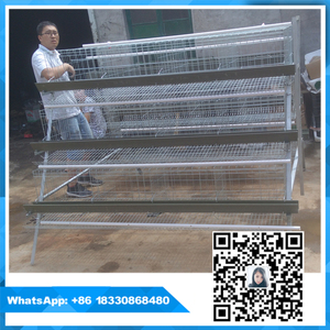 Venta grande utilizado para granja <span class=keywords><strong>de</strong></span> cría <span class=keywords><strong>de</strong></span> gallinas Ponedoras <span class=keywords><strong>de</strong></span> <span class=keywords><strong>huevos</strong></span> Jaula poutry con presión <span class=keywords><strong>de</strong></span> agua automático - Product Image 2