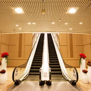 30 35 graus 600-1000mm passo conai escalator comercial ambientes internos