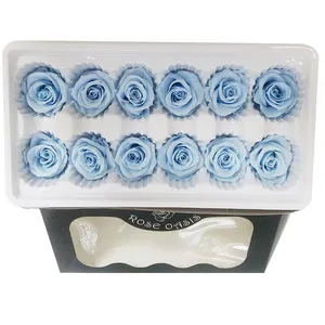 infinity roses for sale preserved roses flower export from China