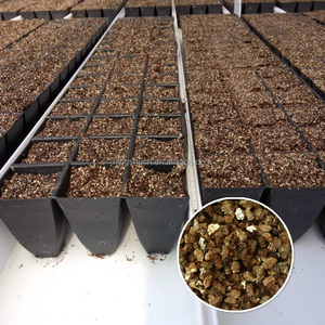 Medio de Cultivo de <span class=keywords><strong>Perlita</strong></span> Expandida <span class=keywords><strong>y</strong></span> <span class=keywords><strong>Vermiculita</strong></span> para Viveros de Orquídeas - Product Image 1