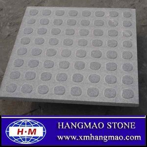 Gris clair blind paving stone/tactiles pavage - Product Image 1