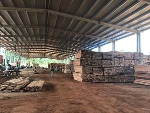 Bằng Gỗ Tròn Các Bản Ghi Gỗ/Gỗ/Bạch Dương/ADOUNG/DABEMA/ OKAN/ RED ZEBRA/ TALI/ ZINGANA - Product Image 2