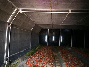 עלות נמוכה מסחרית מותאמת אישית אוטומטית מעיקת אור מערכת האפלה ערכת חממה לפטריות - Product Image 6