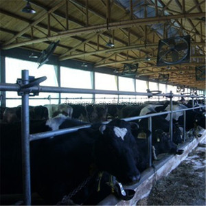 Sistema <span class=keywords><strong>de</strong></span> salón <span class=keywords><strong>de</strong></span> ordeño sencillo para granja lechera - Product Image 3